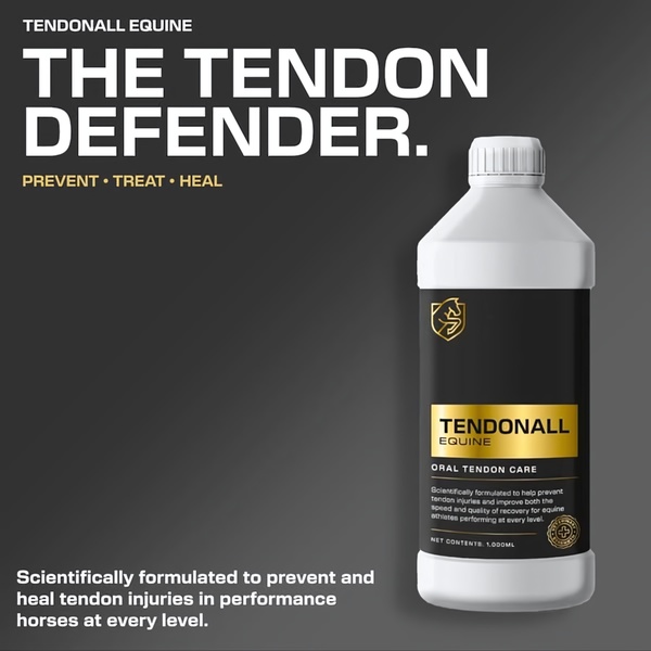 A high-contrast, professional product shot of an equine oral supplement bottle set against a dark background with benefit-driven typography.